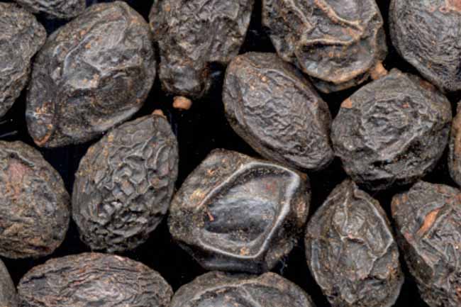 Saw Palmetto